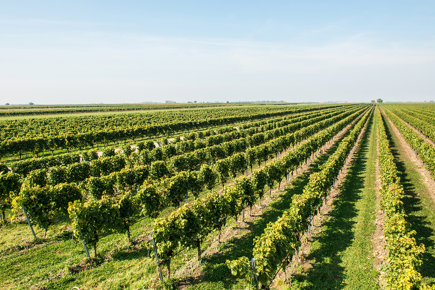 Studio und Outdoorshootings